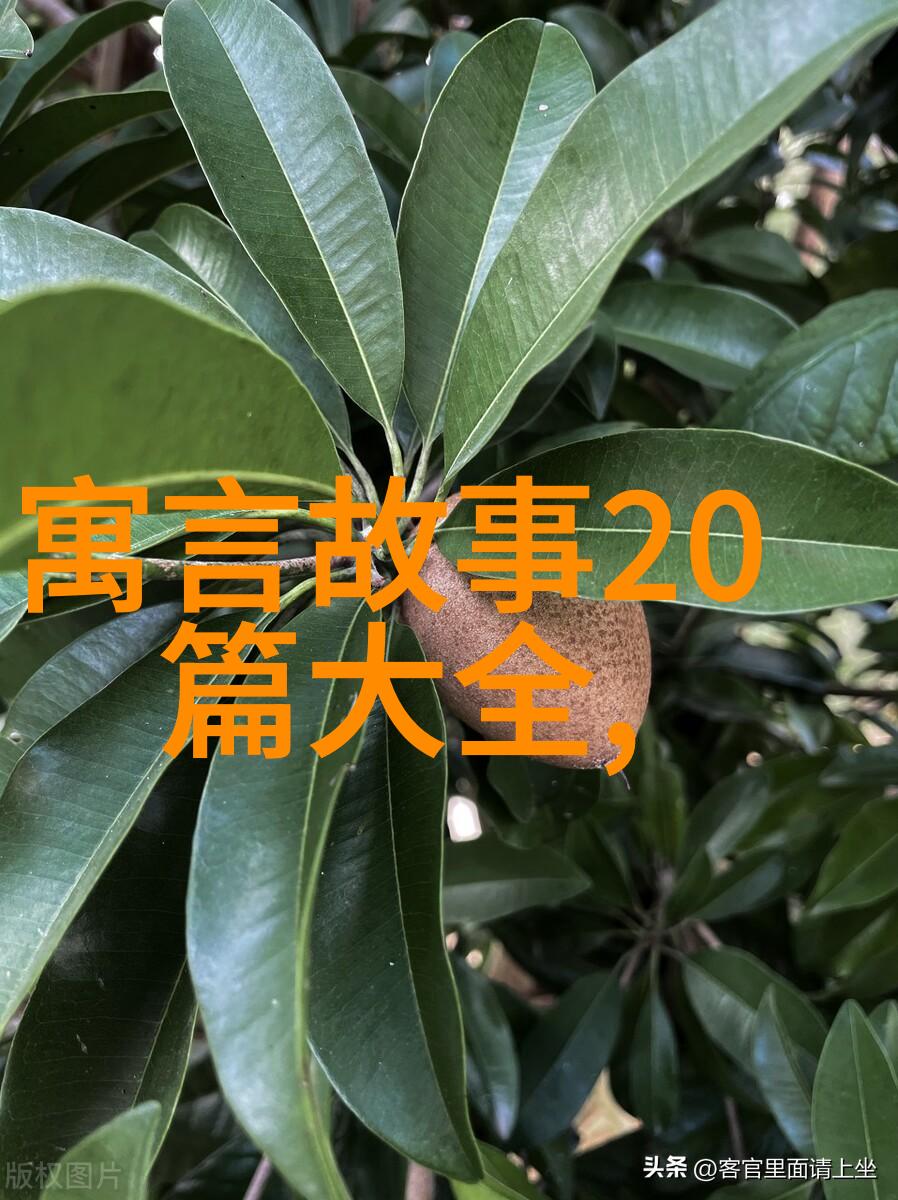 月亮姑娘-日本