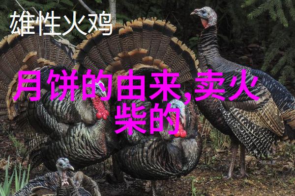 救命蛇马达加斯加